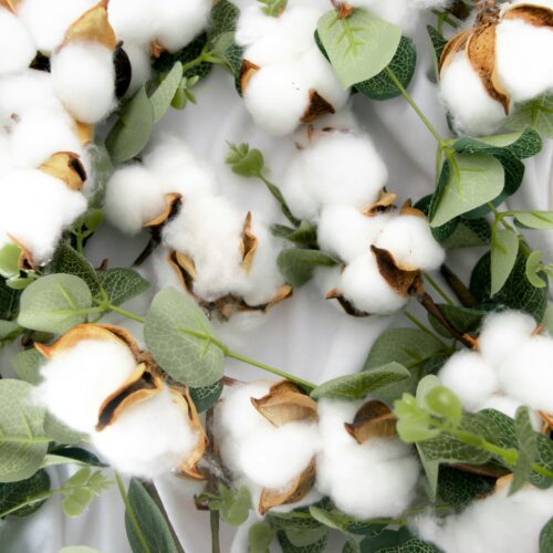 Why Choose Organic Cotton – The Sustainable Option